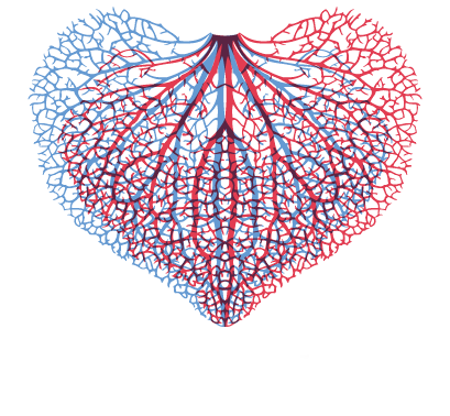 Cape Gate Anaesthetist